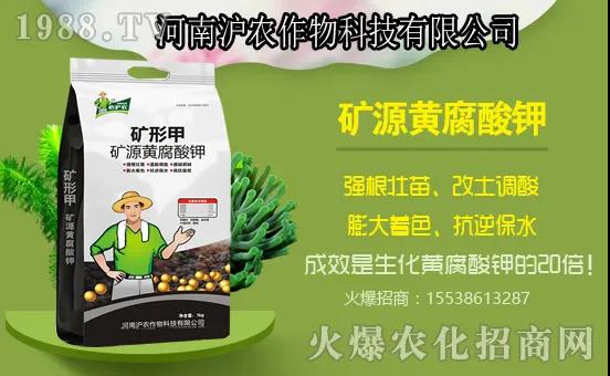 南瓜生長分哪幾個過程？南瓜施肥要點，用什么肥料好？