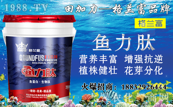 ����(sh��)��(du��)�B(y��ng)���������c(di��n)����Щ������(sh��)ʩ���`�^(q��)�����_ʩ�ʷ�����