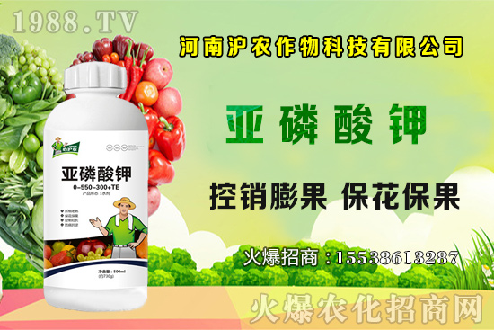 ���[����Ҫ�c��֪���᣿���[��Ҋ���x������Щ����η��Σ�