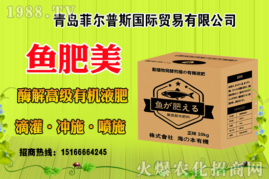 ���׽Y(ji��)��(sh��)����ɶԭ�����з��a(b��)�Ȇ᣿���׽Y(ji��)��(sh��)�������ƴ�ʩ��