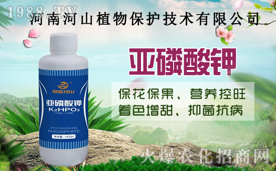 小麥政策加碼！扎堆賣糧！2020年8月14日小麥價格行情！