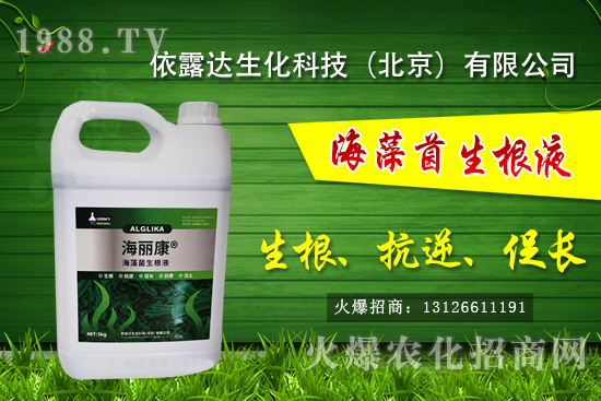 �J��������ЩƷ�N���J���Һ��殐����ʲô�^(q��)�e��