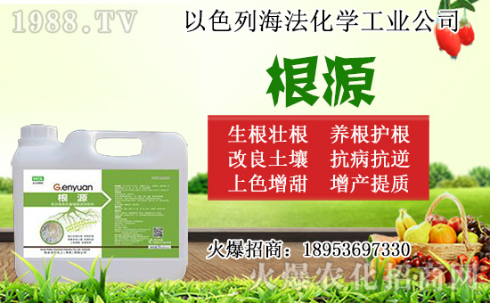 �o������ôǤ�壿�o����Ǥ��r�g��Ǥ�己ֳ������