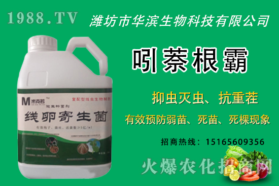 �o�����NֲʲôƷ�N�^�����o����Ƥ���ԳԆ����Nֲǰ��������