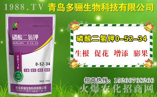 山竹作用與功效有哪些？如何挑選山竹？