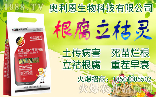 ���[���ʩ�ʣ����[�Nֲ���������N�r(sh��)�g��