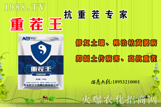 山竹什么季節(jié)成熟？山竹的主要產(chǎn)地在哪里？怎么食用？