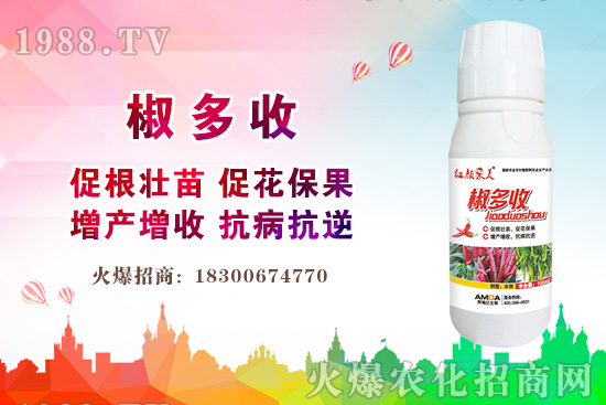 С���r������Xһ����2020�����С���r��߀���ϝq����