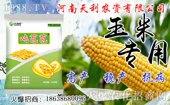 �N�˅������ג겻���X���Nֲǰ����Σ��˅����N����ô�N��