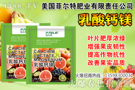 ���Ѳ��պ���α��r�����Ѳ��պ���@ע�������