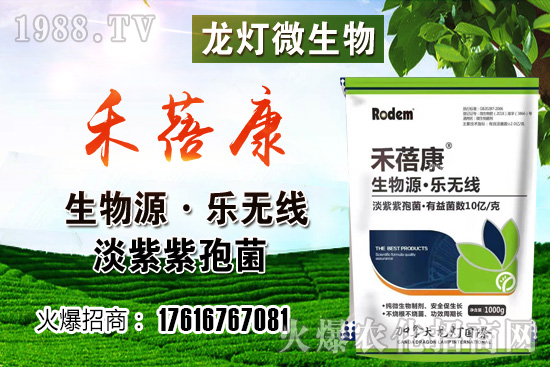 ���t���ڷ۷����������t��¶��ʹ���Nֲ�кβ�ͬ��