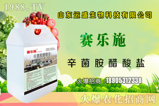 �����Ә���ڷ۷����������Ә���ζ�������