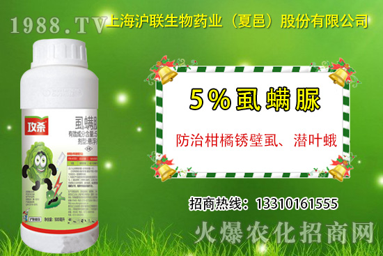 �����P��ʭ��ʲô�Y������ô�����������P��ʭ��ˎ���]