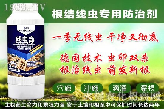 火龍果套袋起什么作用，火龍果套袋果袋如何選擇？