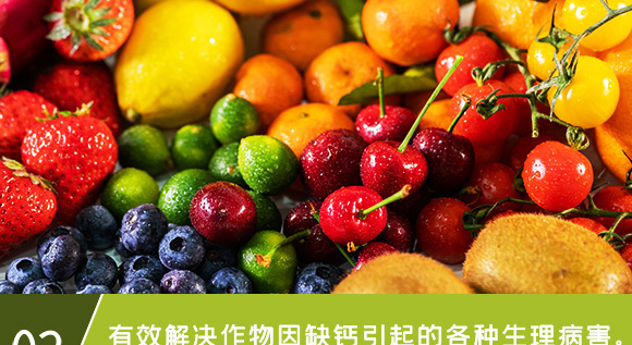 糖醇鈣-英爾果_08