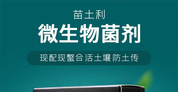 ΢�������-������-Ӣ����_01