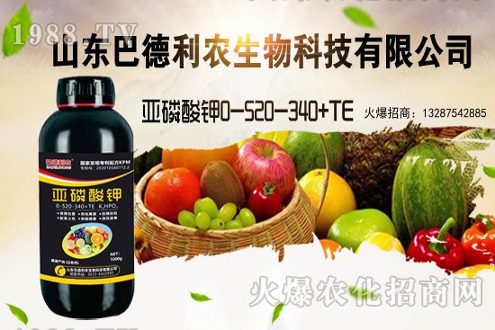 С���r(ji��)���ܝq�������Xһ�������ֵ؅^(q��)�r(ji��)�����飡