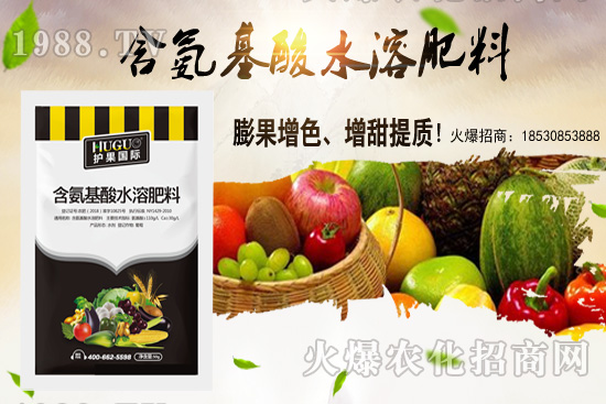 �|���m����ʲô����(ji��)���ࣿ�|������M(j��n)�зNֲ��