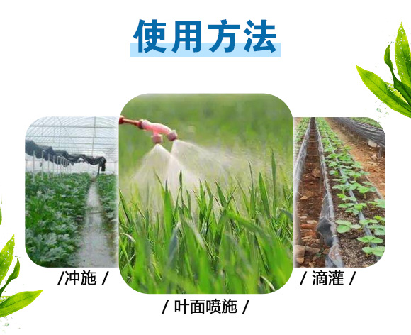 240g高氮360-英爾果_09