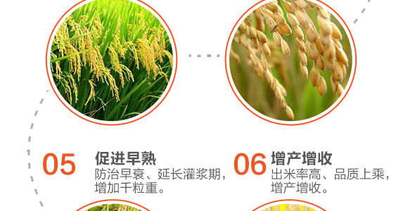 飛防專用-稻喜-英爾果_05