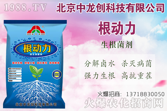 白蘿卜的需肥特性有哪些，白蘿卜施肥技術(shù)要點！