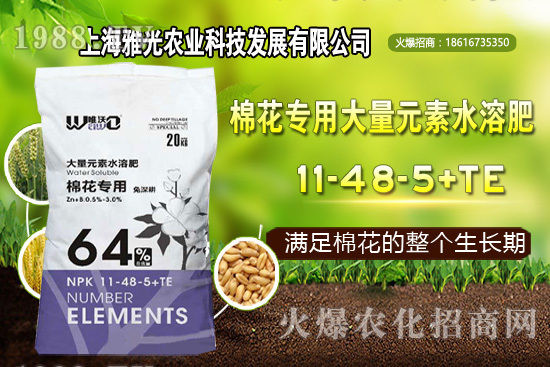 ��ʲô�r(sh��)��Nֲ�������༼�g(sh��)Ҫ�c(di��n)��