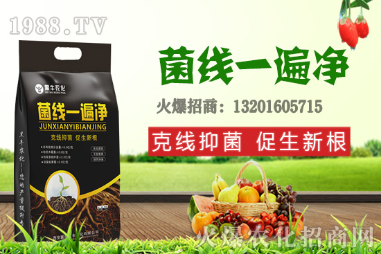 9��19��С���r��������q�����F(xi��n)��