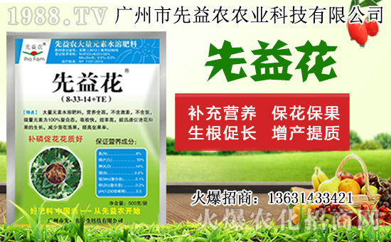 水仙花形態(tài)特征及生長習(xí)性，水仙花栽培方法！