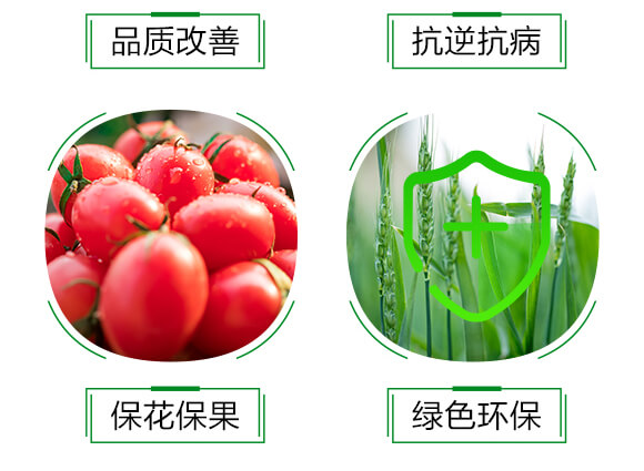 1000ml��������ˎ��-������-�t��(l��)_06