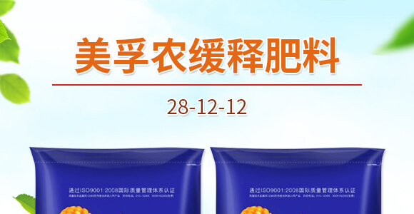 �����r(n��ng)��ጷ���28-12-12-�и���ʢ_01
