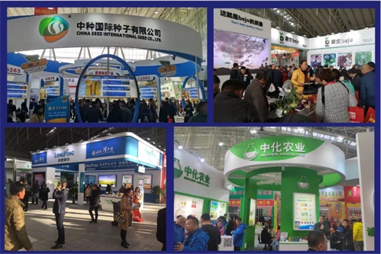 �����I�N����