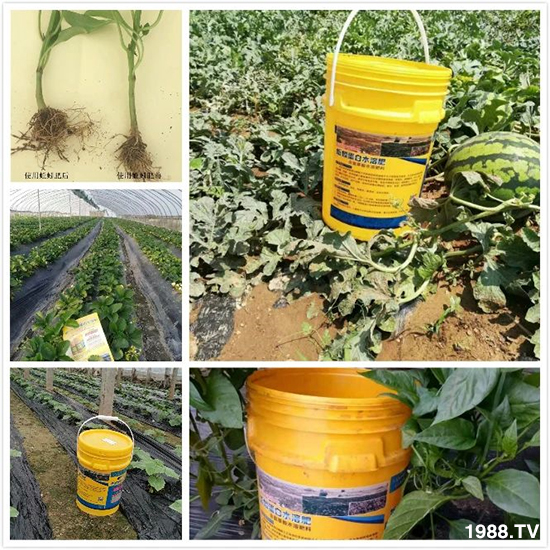 ˮ�ܷ��Ј�(ch��ng)��׃��������徫���~(y��)���׌�����������1000���Ñ�(h��)�������]��