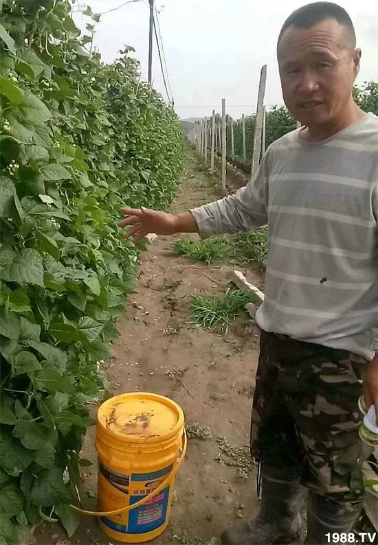 ˮ�ܷ��Ј�(ch��ng)��׃��������徫���~(y��)���׌��������棡1000���Ñ�(h��)�������]��