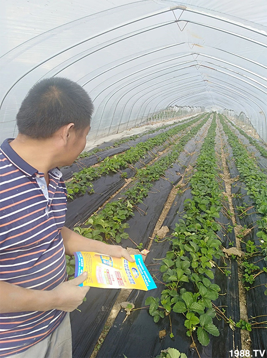 ˮ�ܷ��Ј�(ch��ng)��׃��������徫���~(y��)���׌�����������1000���Ñ�(h��)�������]��