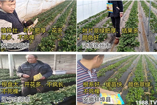 ˮ�ܷ��Ј�(ch��ng)��׃��������徫���~(y��)���׌�����������1000���Ñ�(h��)�������]��