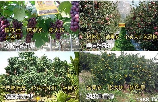 ˮ�ܷ��Ј�(ch��ng)��׃��������徫���~(y��)���׌�����������1000���Ñ�(h��)�������]��