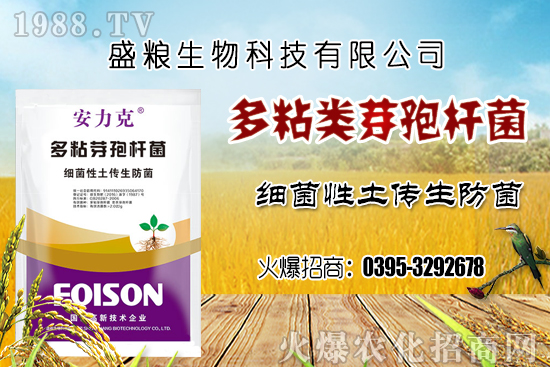 車?yán)遄臃N植環(huán)境要求有哪幾點(diǎn)？車?yán)遄恿挤N選擇及良種套種！