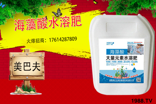 海藻肥具有哪些作用？與傳統(tǒng)肥料相比有何優(yōu)勢？