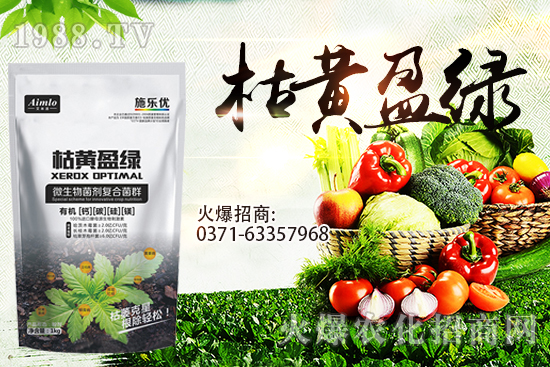 ʮ�¼������������r(ji��)�ܝq������9��29��С���r(ji��)���߄���