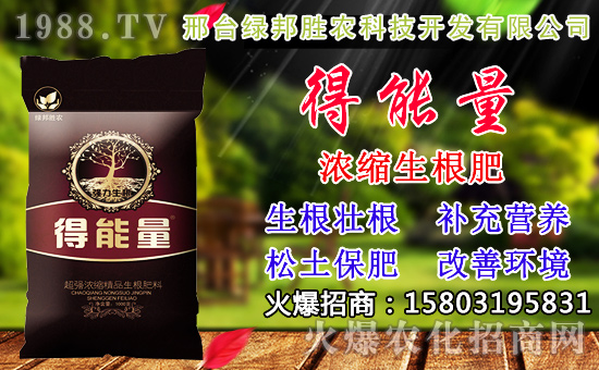 2020年小麥種子如何選？高產(chǎn)小麥品種有哪些？