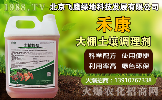 豬肚菇如何種植，豬肚菇栽培管理技術！