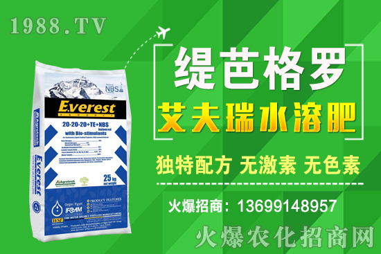 С���r��q����ʮ��С�������A(y��)�y��