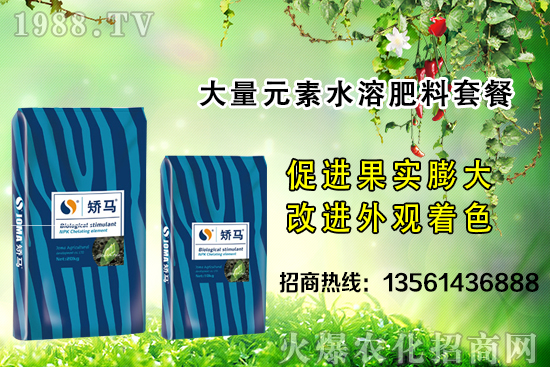 秋季果樹施肥的好處有哪些？秋季果樹施肥指導(dǎo)方案！