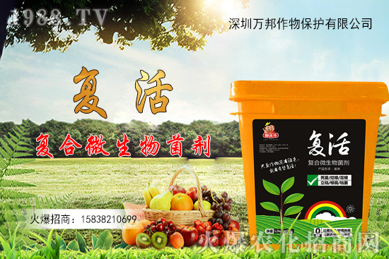 大棚油桃栽種后如何進行管理，有什么方法要點？