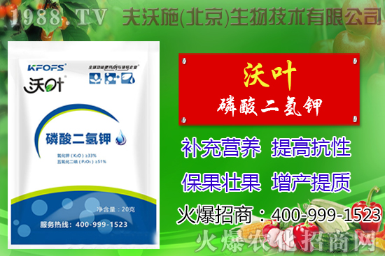 ���t��ժ�~����Щ��̎������ժ�~���g(sh��)��ע�������