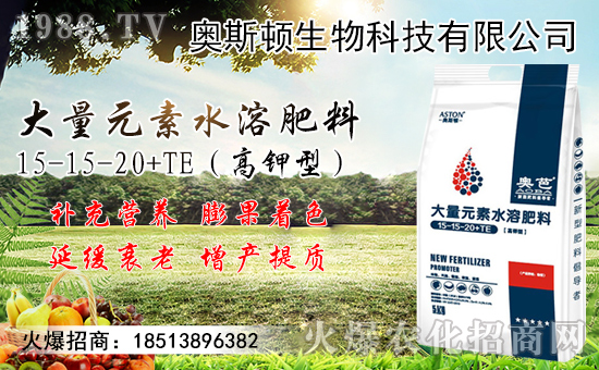 С���r���������ϝq��������������С���r��