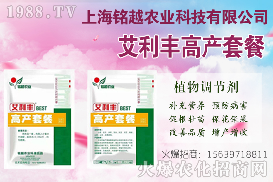 �޻�������ʲô����(ji��)�������F(xi��n)���}����Щ���޻������ڹ���Ҫ�c(di��n)��