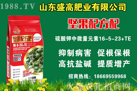 С���r(ji��)��߀Ҫ�ϝq�᣿9��9�Շ���(n��i)С���r(ji��)��������