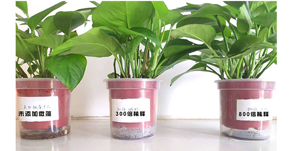 ΢��ԭҺ-һ�n��-�̩_09