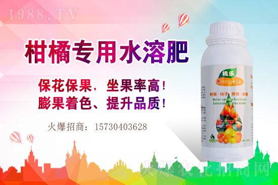 草莓的生長習性有哪些？早春大棚草莓管理技術要點！